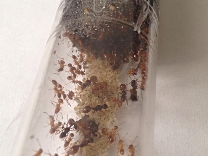  03.05.15, 10 24 38.jpg